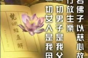 放生问答