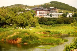 能虚法师：一期一愿 初心犹在（3）